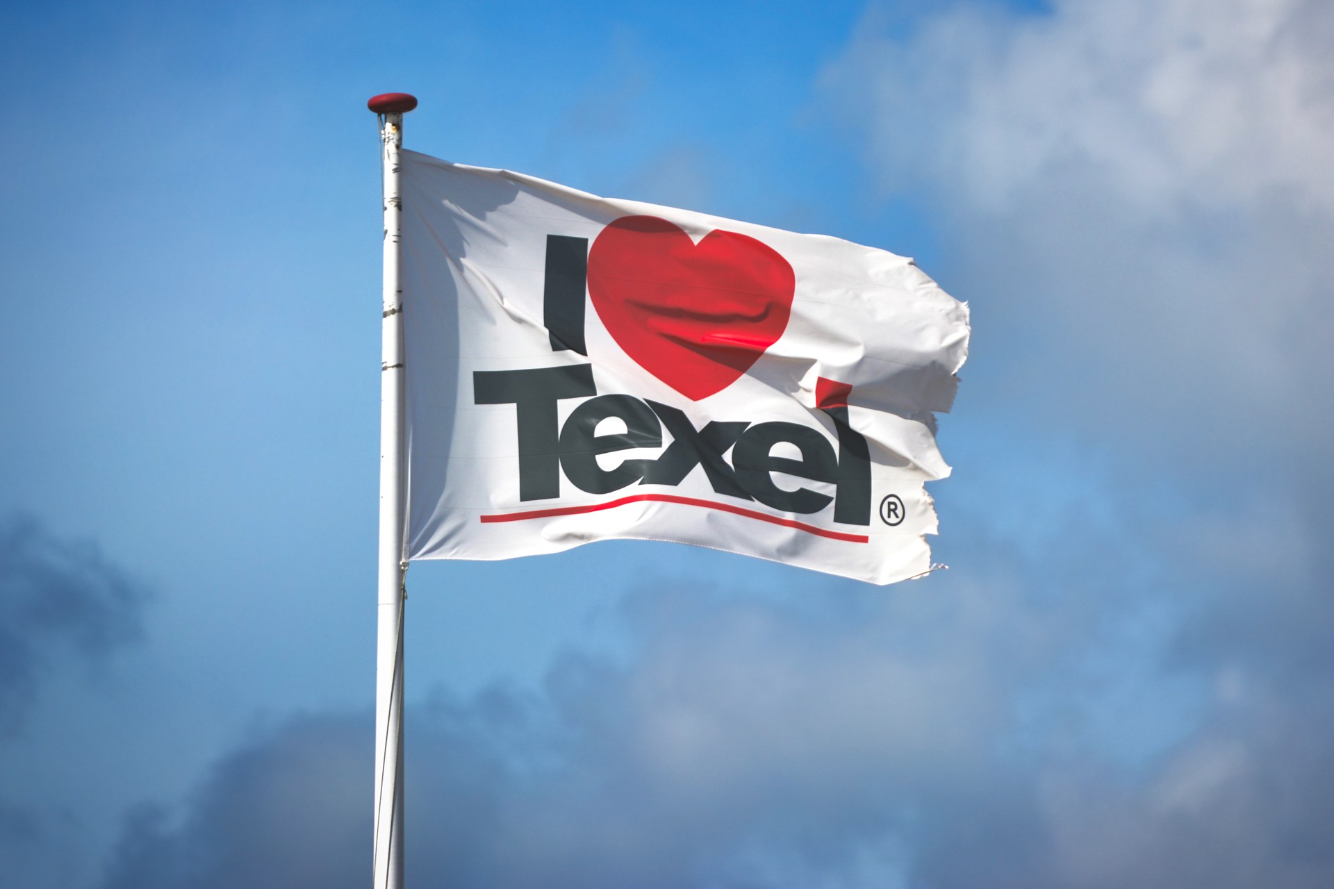 Vlag I love Texel Waddeneilanden